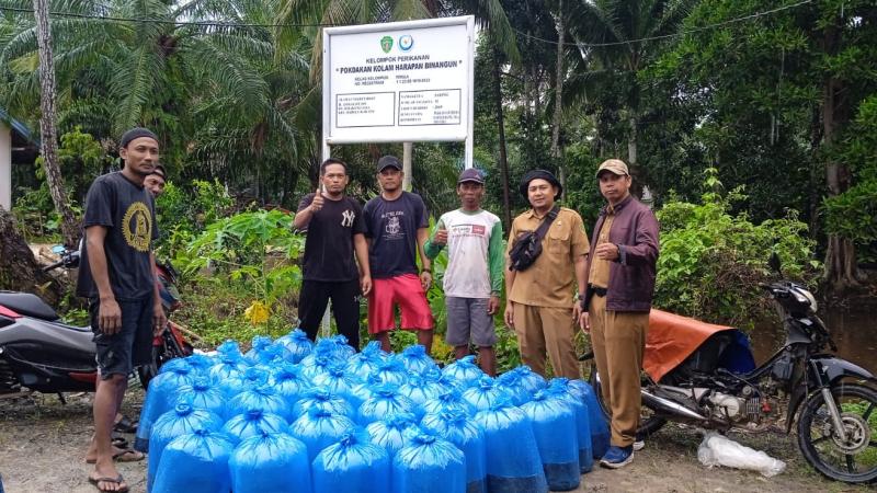 salurkan bantuan bibit ikan