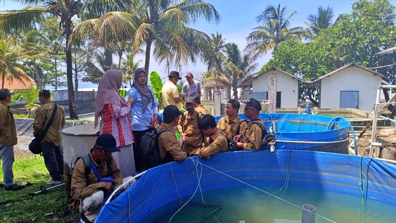 Budidaya Udang Galah