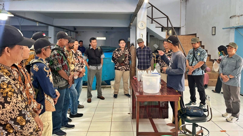 bimtek budi daya ikan lele