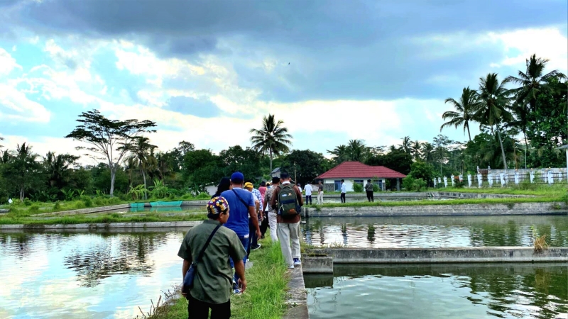 Pembudidaya PPU Pelajari Kembangkan Nilasa di Kolam