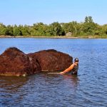 Peningkatan Produksi Rumput Laut Melalui Teknologi Sederhana