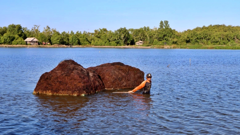 Peningkatan Produksi Rumput Laut Melalui Teknologi Sederhana