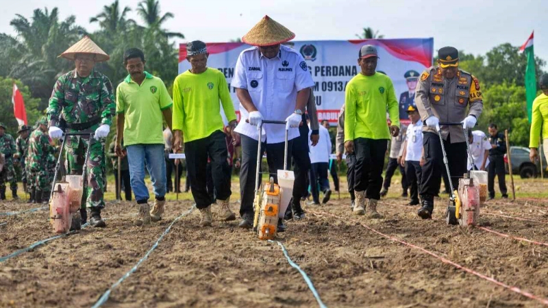 Garap lahan jagung