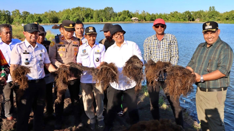 Panen rumput laut