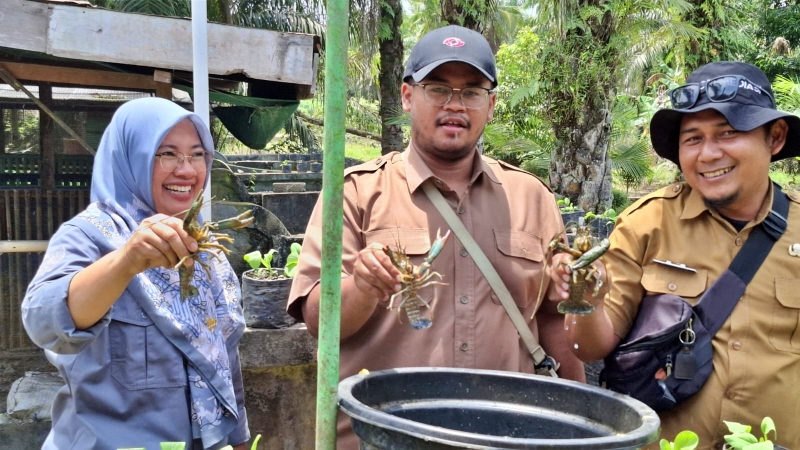Budi Daya Ikan di Pekarangan