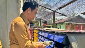 Menjaga Kualitas Air Kunci Keberhasilan Budi Daya Kepiting
