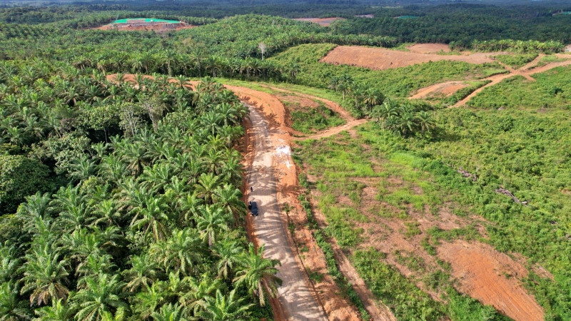 Lahan reforma agraria