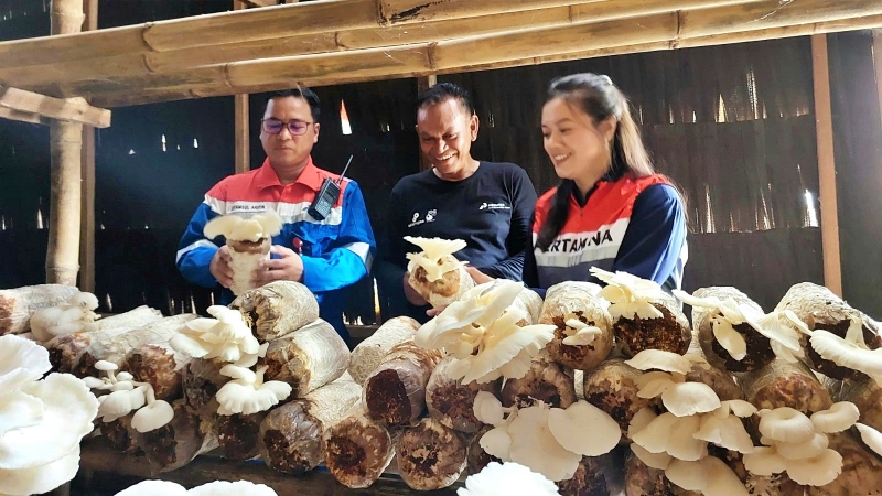 Program Semur Cendawan Bikin PHKT Raih ISDA 2024