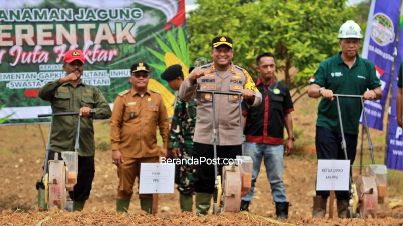Tanam Jagung Sejuta Hektare di PPU