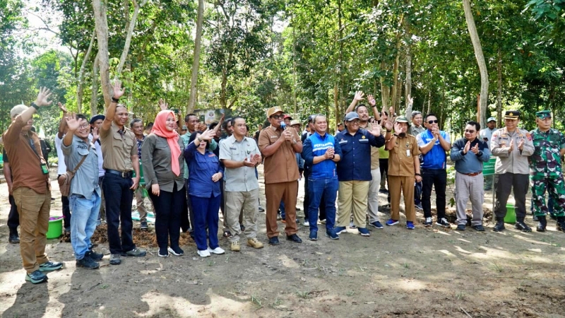 Penanaman Pohon Serentak 2025, Pulihkan Lahan Kritis