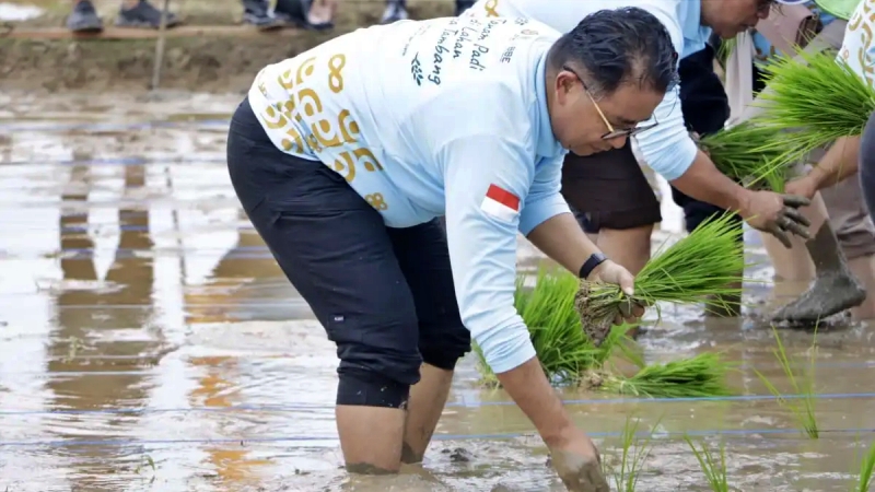 Pj Gubernur Kaltim dan Slank Tanam Padi di Lahan Eks Tambang