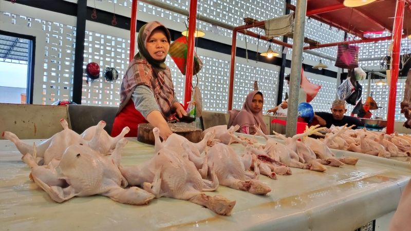 Pedagang Ayam Potong di Pasar Klandasan Balikpapan