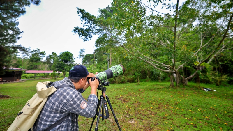 Bird Race dan Lomba Fotografi Alam Kalimantan di IKN