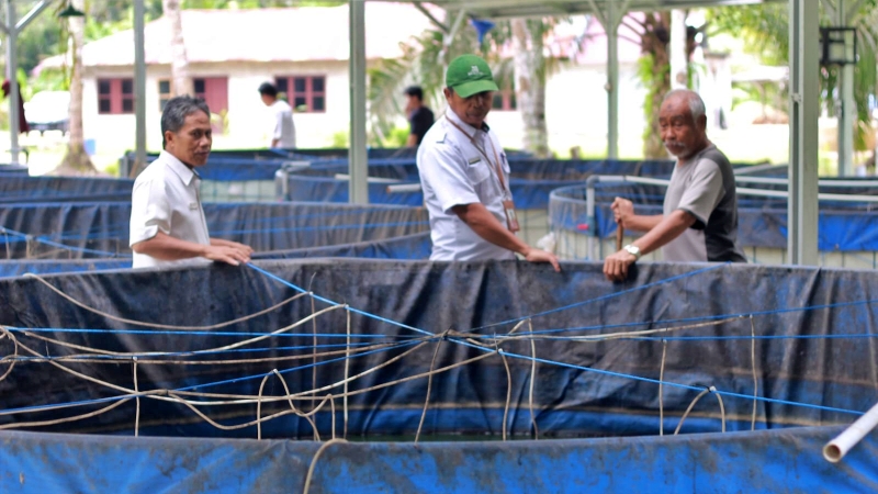 Diskan Tinjau Budi Daya Ikan Air Tawar di Tanjung Tengah