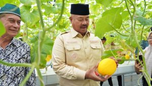 MK Diskualfikasi Edi Damansyah, Kukar Pilkada Ulang
