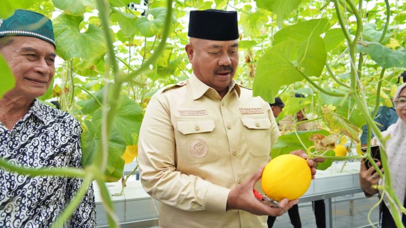 MK Diskualfikasi Edi Damansyah, Kukar Pilkada Ulang