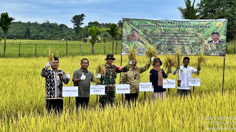 Gerakan Panen Padi di PPU Dukung Swasembada Pangan