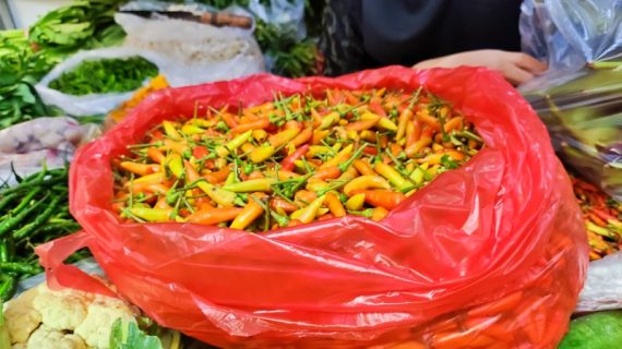 Harga Cabai Kian Mahal Jelang Idulfitri, Pasokan Berkurang