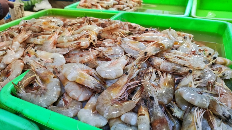 Udang Basah dan Cabai Kompak Sumbang Inflasi di Balikpapan