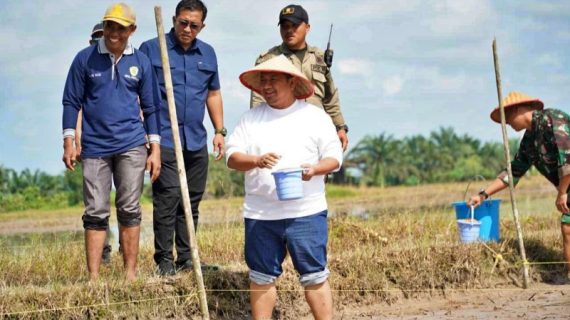 Pemkab PPU dan TNI Tanam Padi Tabela di Sidorejo