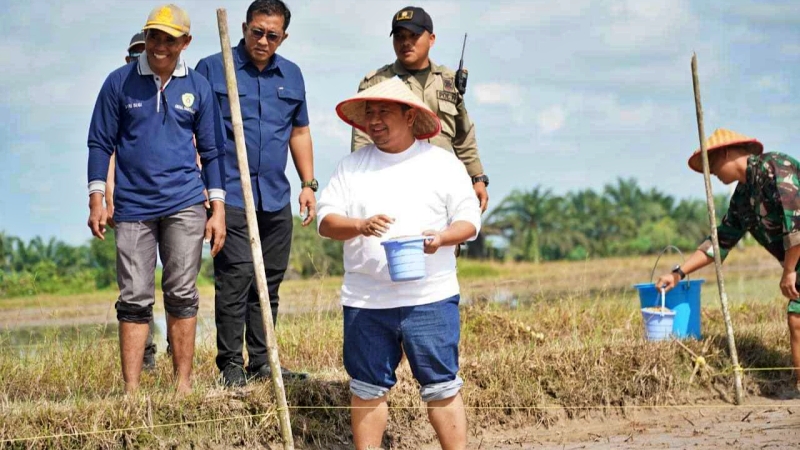 Pemkab PPU dan TNI Tanam Padi Tabela di Sidorejo