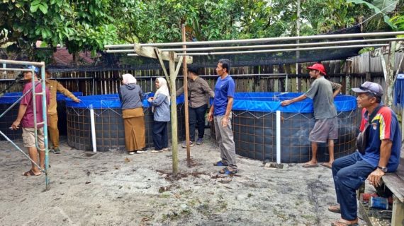 Bantuan Sarana Budi Daya Difokuskan untuk Pokdakan Aktif