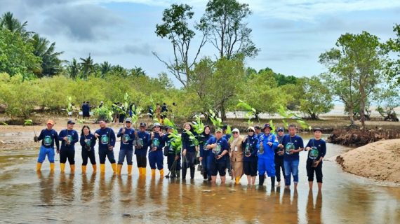 DPP Tanam 1.000 Mangrove di Teritip, Ada Tim untuk Perawatan