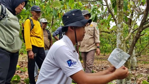 Disbun Kaltim Latih Petani Kakao Tingkatkan Produktivitas