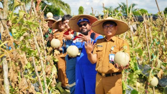 KPI Unit Balikpapan Dukung Panen Raya Melon Kenari PPU