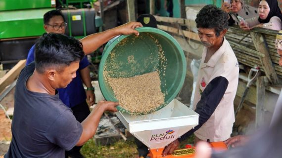 PLN Dukung Smart Farming Listrik di Buyung-Buyung Berau