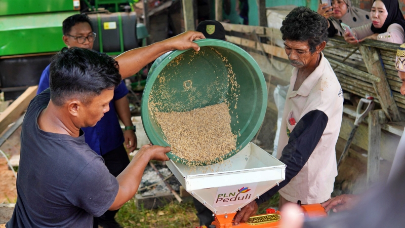 Kelompok Tani “Harapan Mandiri” Kampung Buyung-Buyung memanfaatkan mesin penggiling padi bantuan dari PLN.