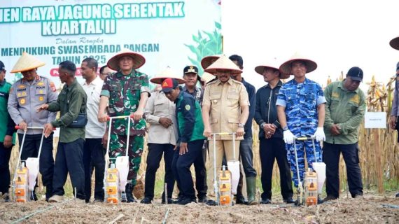Panen Raya Jagung Serentak, PPU Dukung Ketahanan Pangan