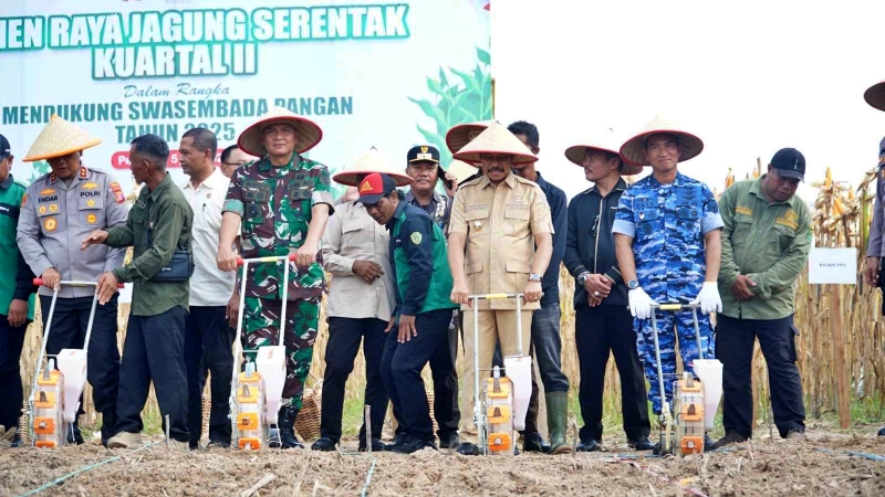 Panen Raya Jagung Serentak, PPU Dukung Ketahanan Pangan