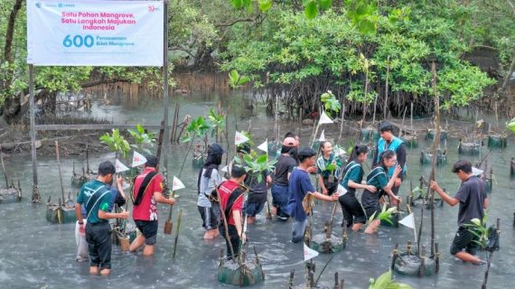 Telkomsel dan Ciro Waste Tanam 600 Mangrove di Balikpapan