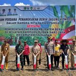 Berau Kembangkan Benih Jagung Komposit di Talisayan