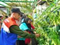 Mitra Binaan KPI Unit Balikpapan Lakukan Urban Farming