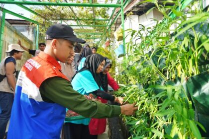 Mitra Binaan KPI Unit Balikpapan Lakukan Urban Farming