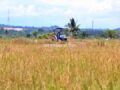Jajaki Investasi Pertanian, Aktifkan 175 Hektare Lahan Tidur