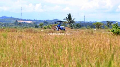 Jajaki Investasi Pertanian, Aktifkan 175 Hektare Lahan Tidur
