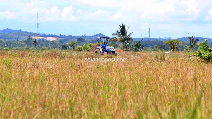 Jajaki Investasi Pertanian, Aktifkan 175 Hektare Lahan Tidur