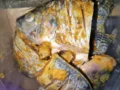 Konsumsi Ikan Kaltim Naik 59,75 Kg per Kapita