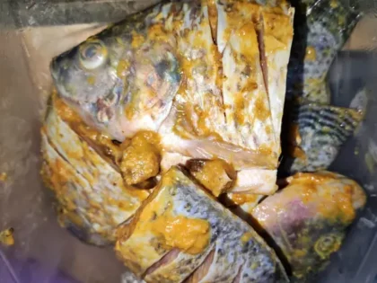 Konsumsi Ikan Kaltim Naik 59,75 Kg per Kapita