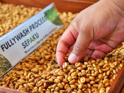 Kopi Liberika Bakal Jadi Ikon Ekonomi Kreatif IKN