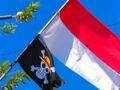 Pemkot Balikpapan Bidik Bendera Jolly Roger One Piece
